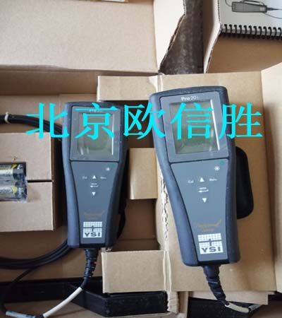 美國YSI Pro20i溶解氧測量儀